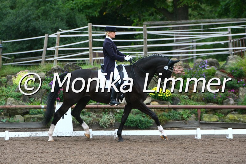 109M1225_Ferre_Dressur S_St. Georg.JPG